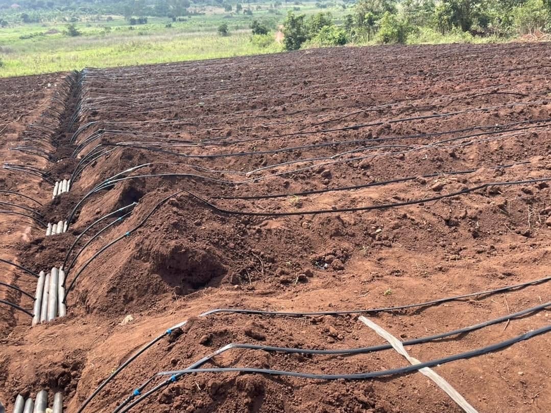 Irrigation system